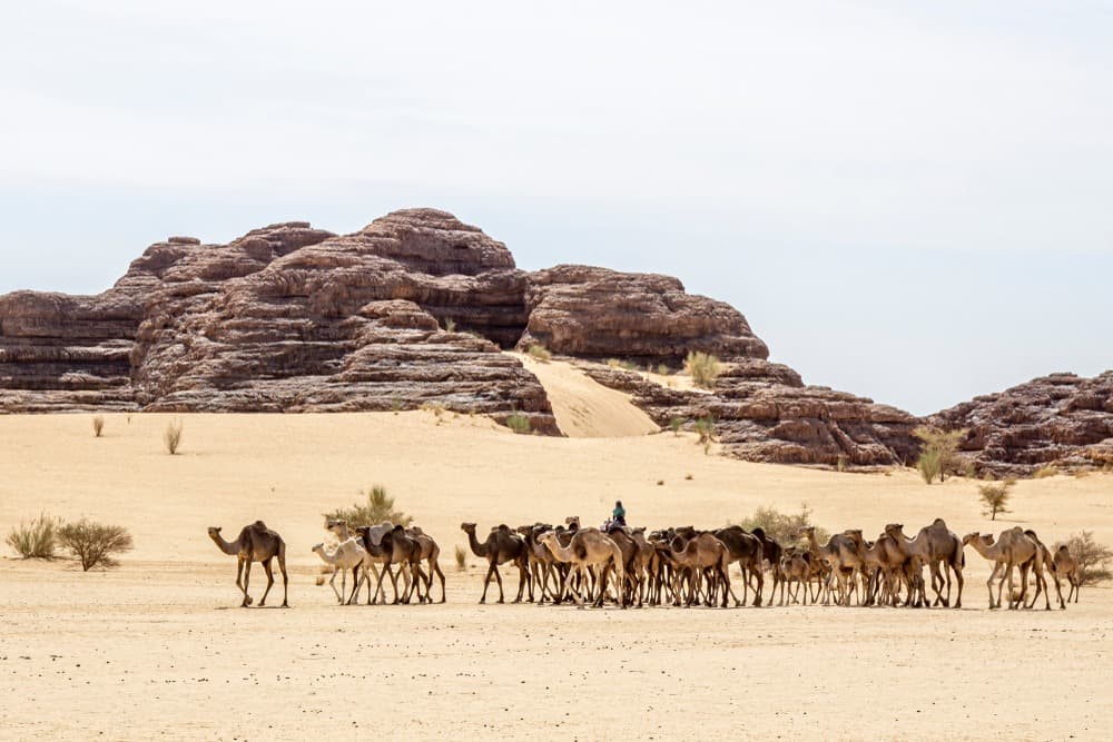 Tibesti Mountains